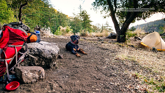 RX-Big-Sur_0294