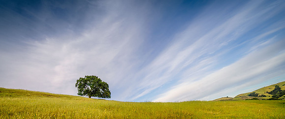 Morgan-Hill_0975