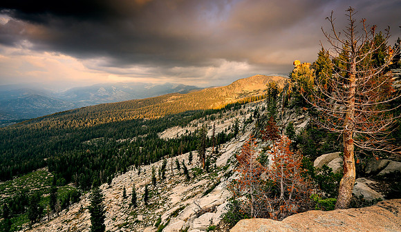 Sierra_5290