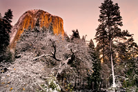 Yosemite_4188