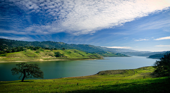 Morgan-Hill_0132
