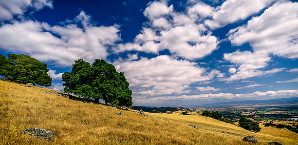 Morgan-Hill_4077