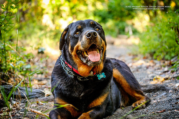 Morgan-Hill_1000305