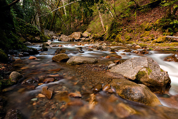 Morgan_Hill_8352