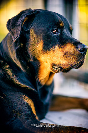 Morgan-Hill_2850