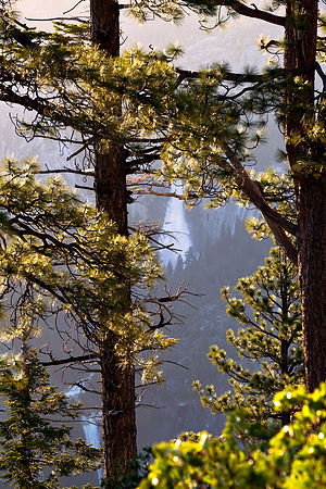 Yosemite_2106