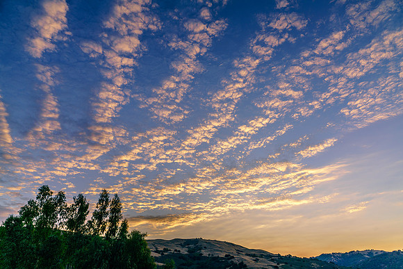 Morgan-Hill_0444