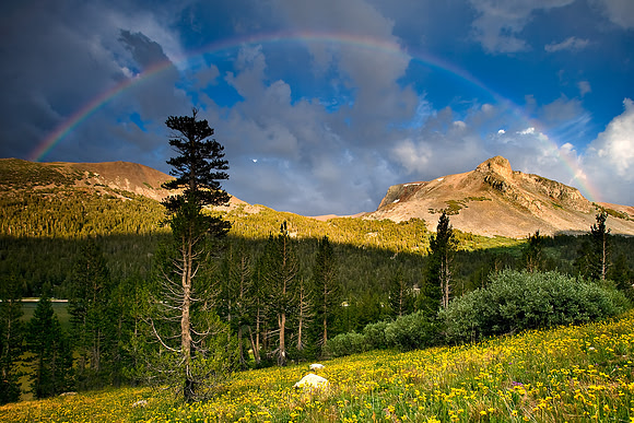 Yosemite_6364_C