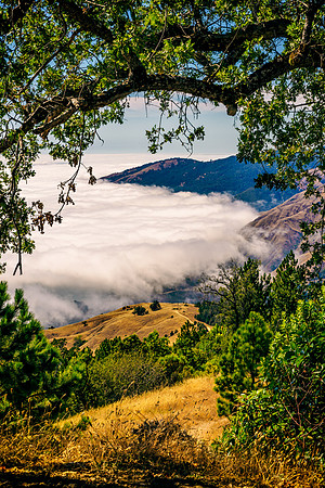 Big-Sur_2730