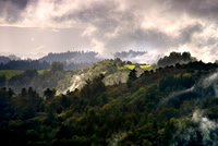 Santa_Cruz_Mntz18C