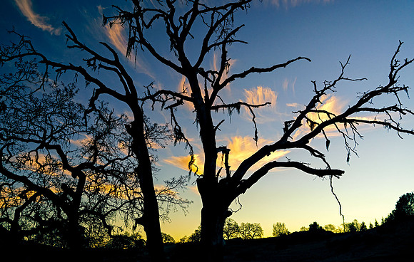 Morgan-Hill_0290