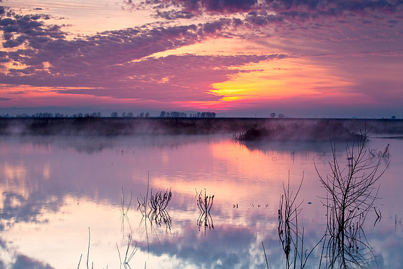 Merced_0147