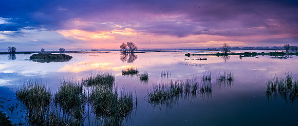 Merced_8215_Pano