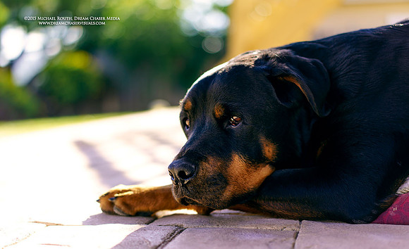 Morgan-Hill_00017
