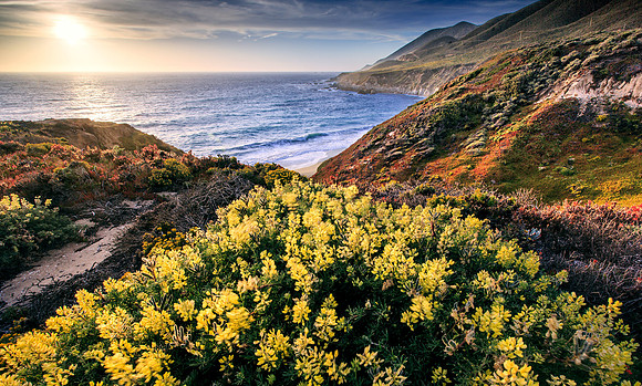 Big-Sur_4600