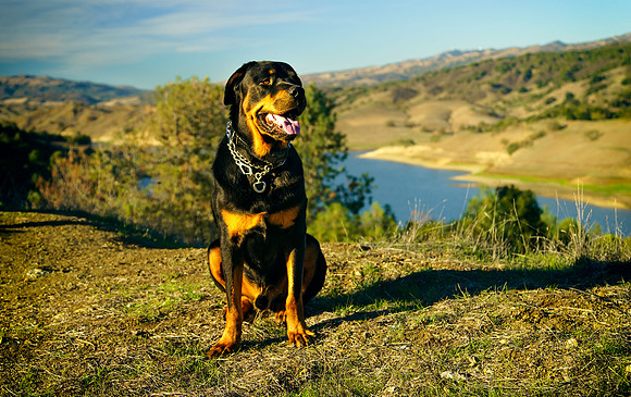 Morgan-Hill_0424