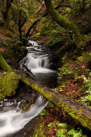 Morgan_Hill_8244