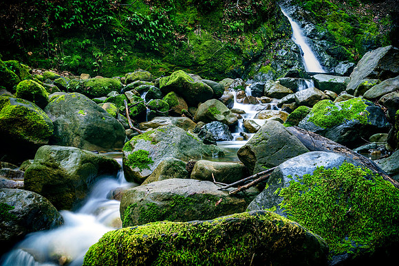 Morgan-Hill_3789