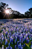 Los_Padres_7026
