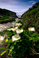 Big_Sur_1377