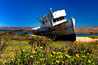 Point_Reyes5A