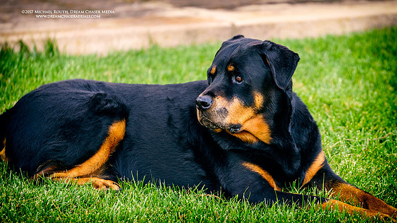 Morgan-Hill_1368