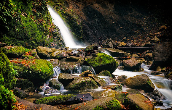 Morgan-Hill_0477