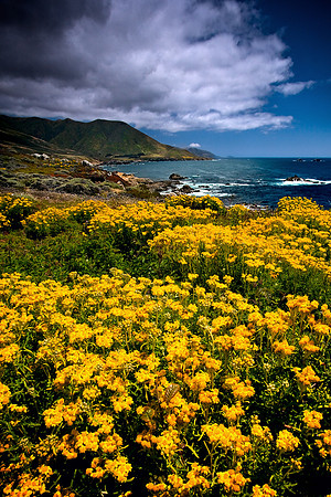 Big_Sur_9206