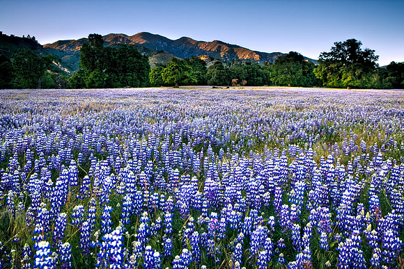Los_Padres_7058