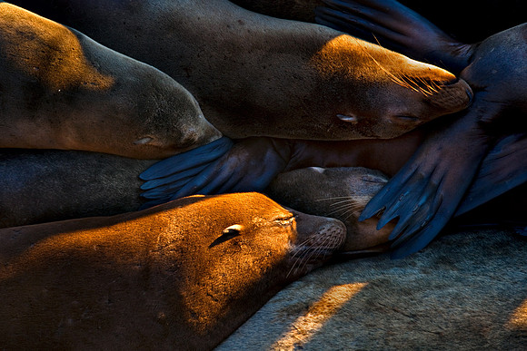 Santa_Cruz_Coast_8300