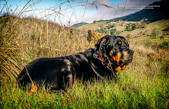 RX-Morgan-Hill_1384