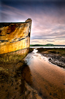 Point_Reyes_4986
