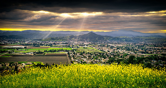 Morgan-Hill_0255
