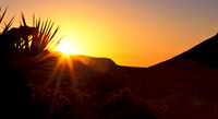 Bonnie_Springs3A