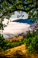 Big-Sur_2730