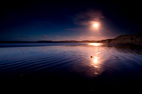 Point_Reyes_1807