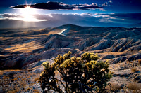 Borrego_K0U3165