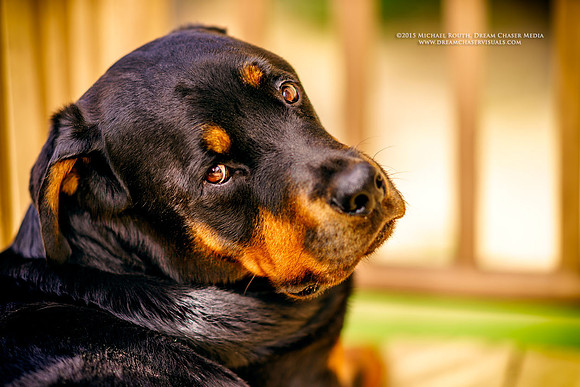 Morgan-Hill_0716