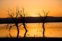 Salton_K0U0934