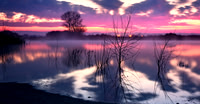 Merced_0103
