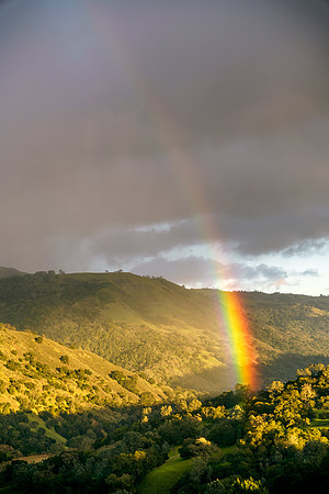 Morgan-Hill_0651A