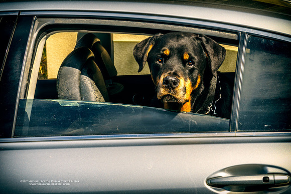 Morgan-Hill_1348