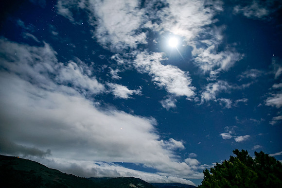 Morgan-Hill_0886